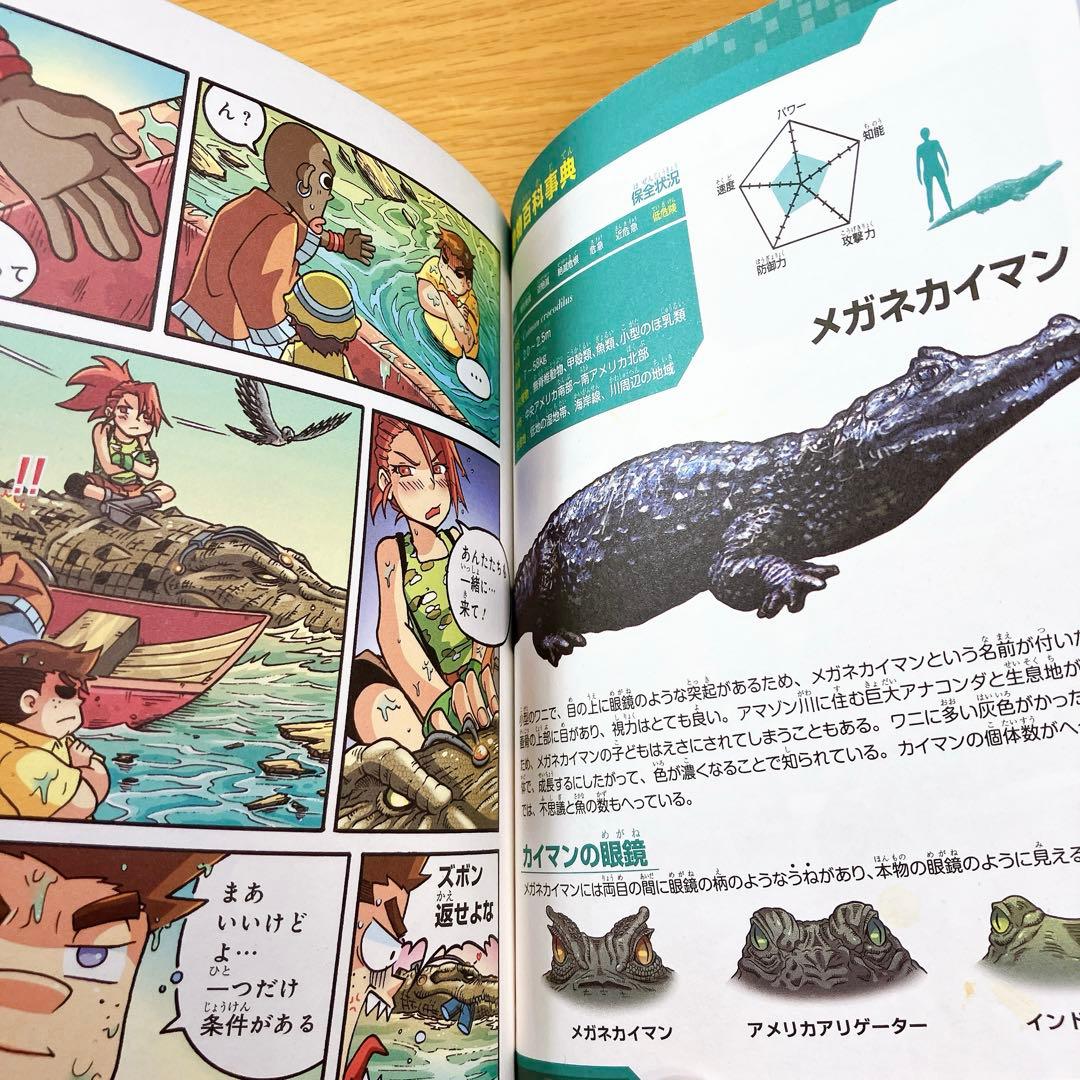 どっちが強い？　２０冊セット