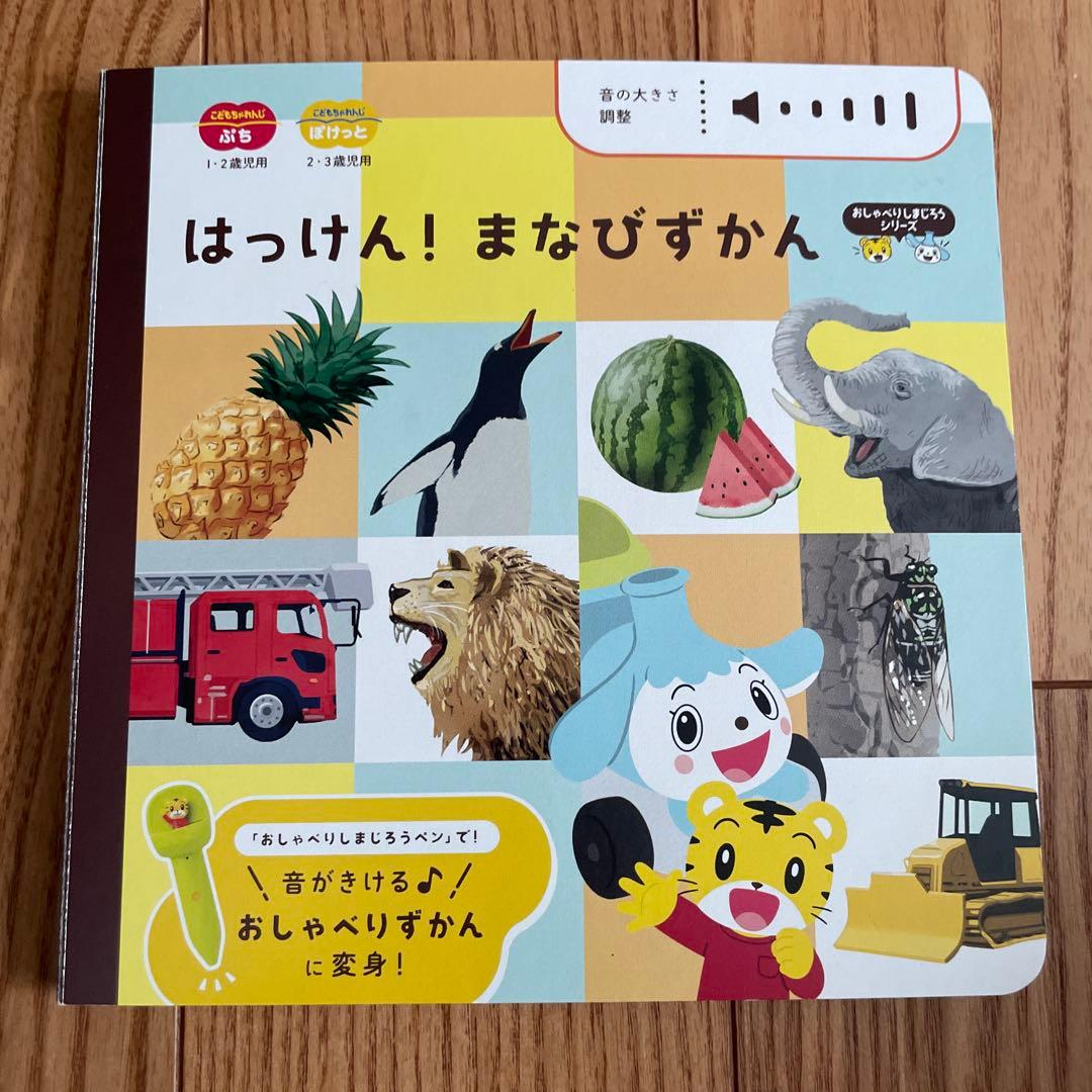 【美品】人気絵本18冊　0歳1歳2歳絵本　しかけ絵本　おまけ付