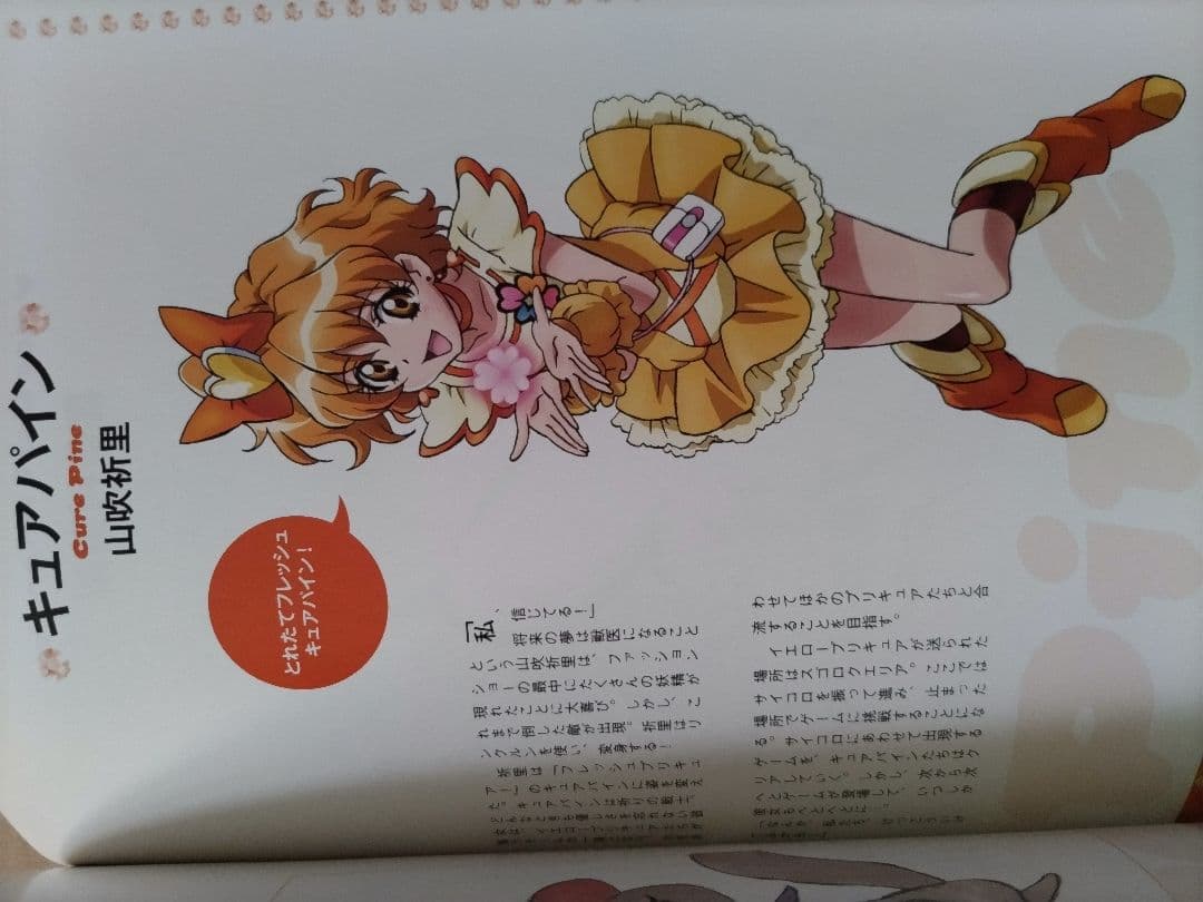 ぴあMOOK プリキュアぴあ