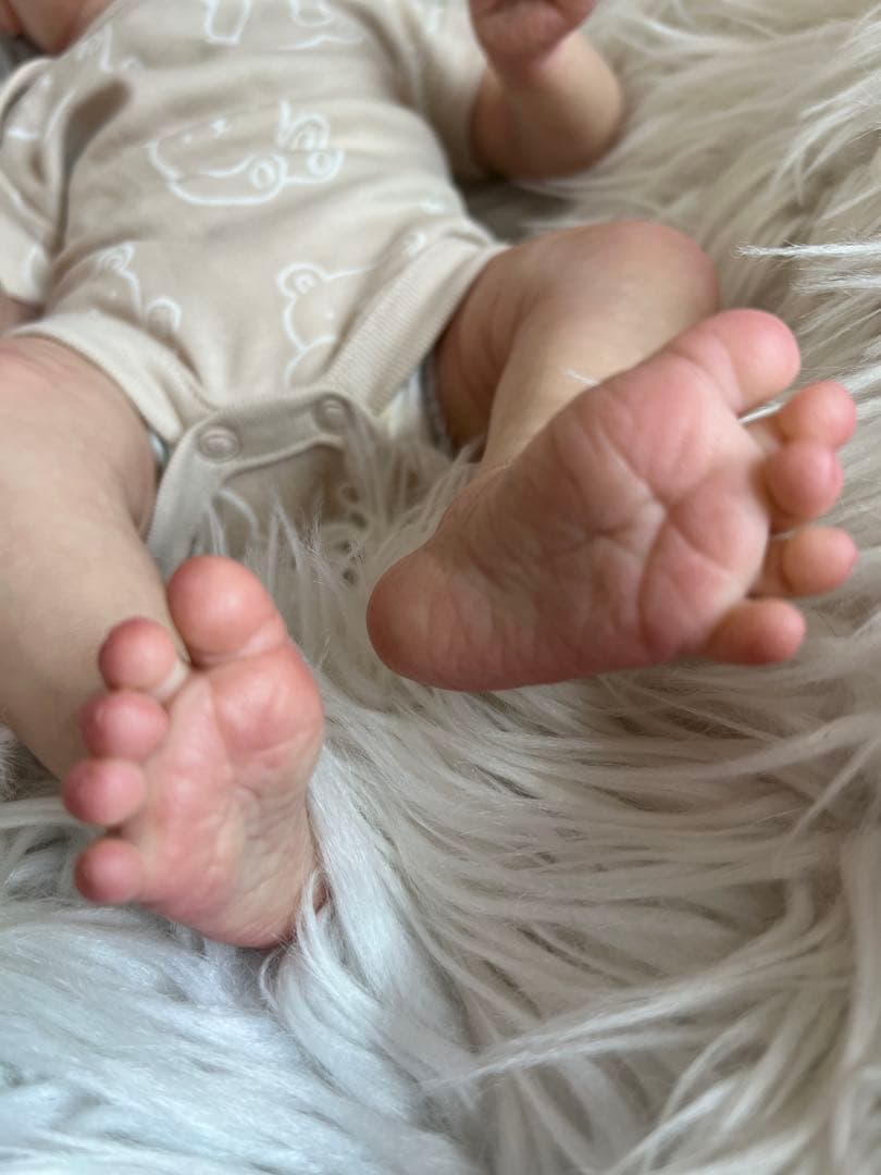 【リボーンドール】 LAILA ✿