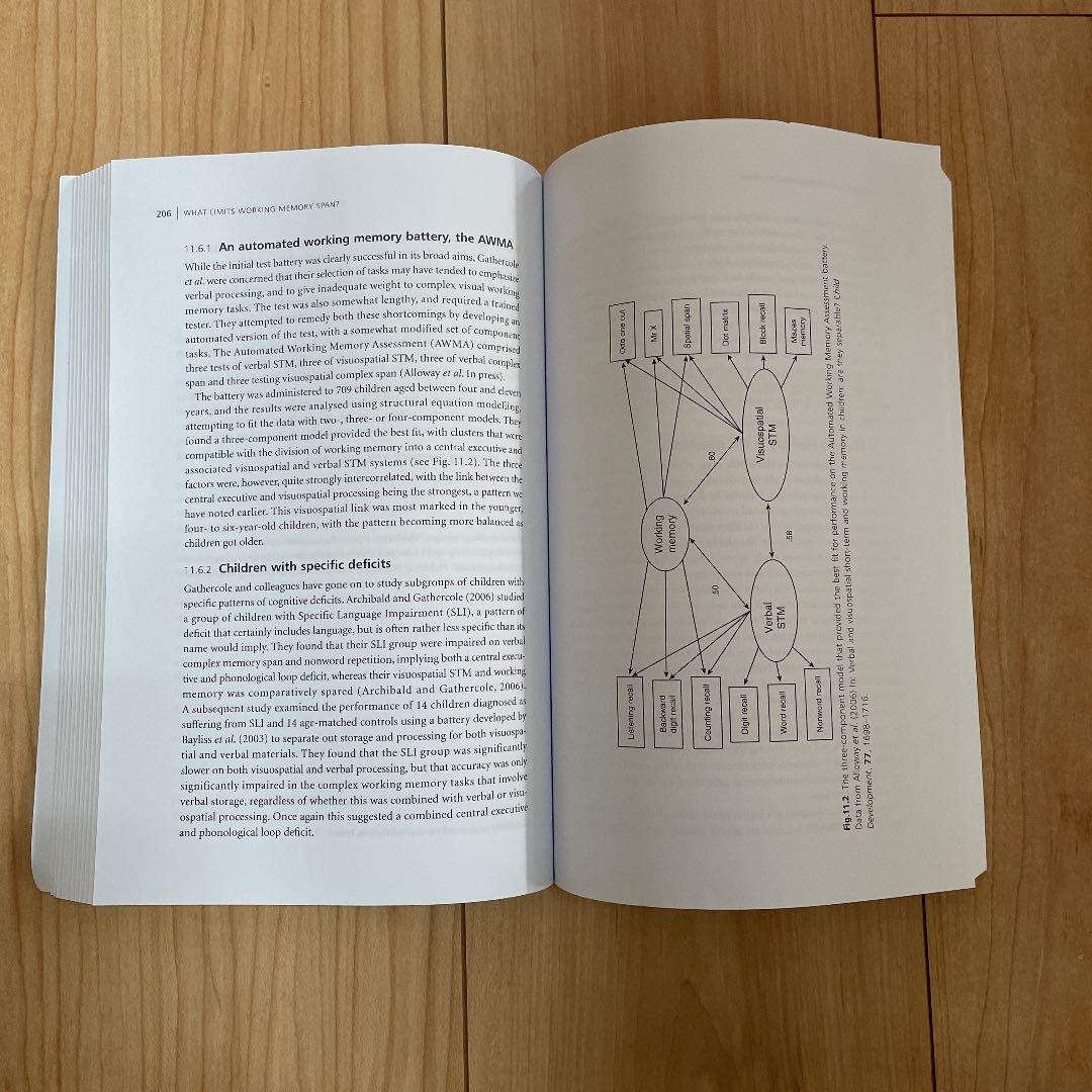 洋書 Working Memory, Thought, and Action