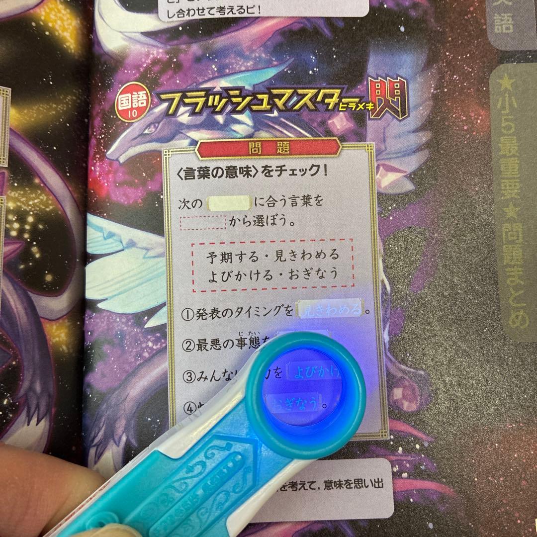 進研ゼミ　小学講座　チャレンジ５年生　2025年度　１年分　国語算数理科社会英語