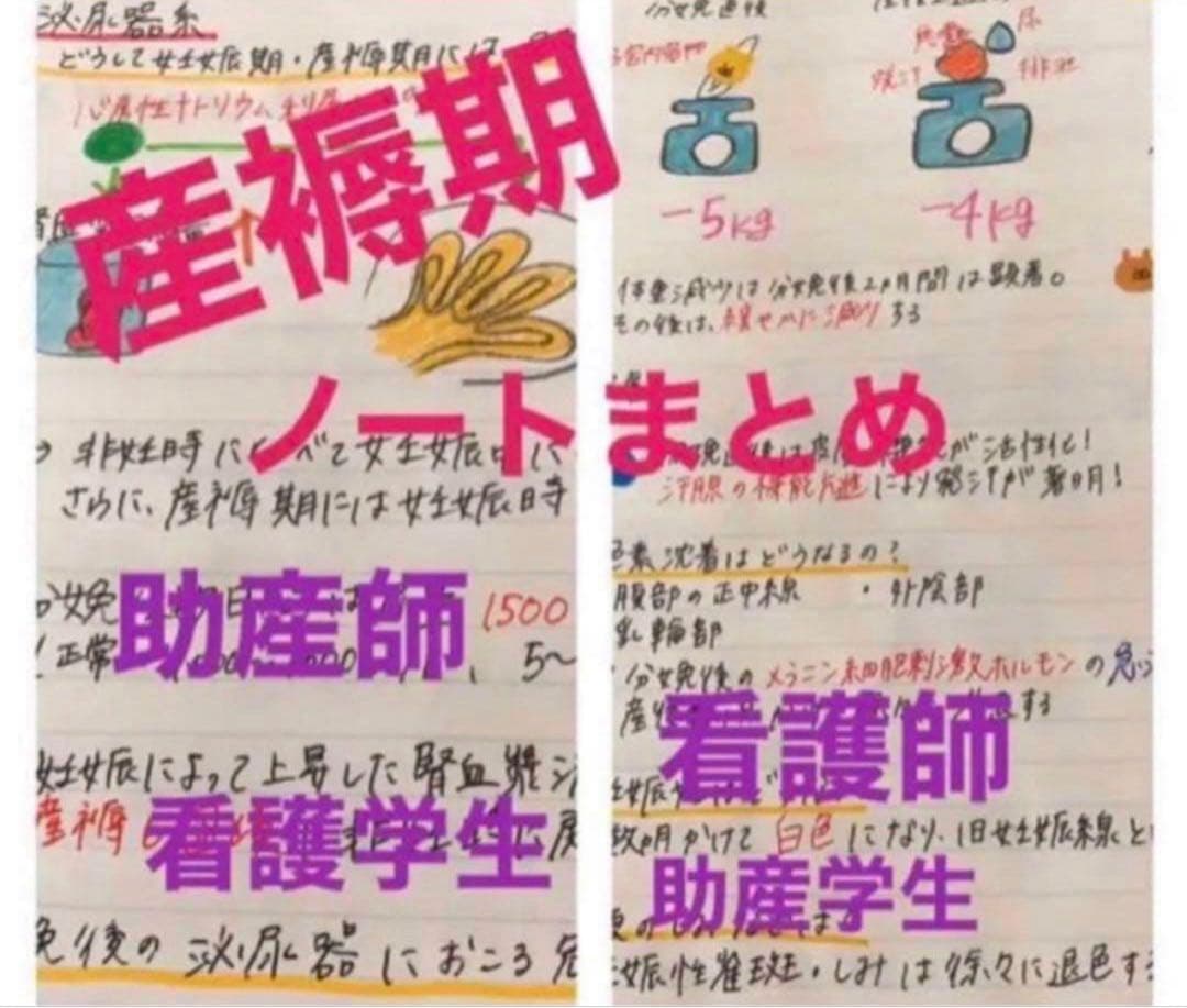 助産師　助産学生　国家試験　合格　実習味方セット　まとめノート　ポケットサイズ
