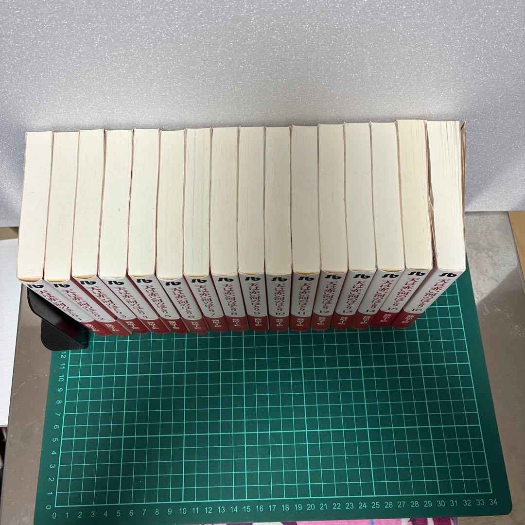 天は赤い河のほとり. 文庫版　全巻セット