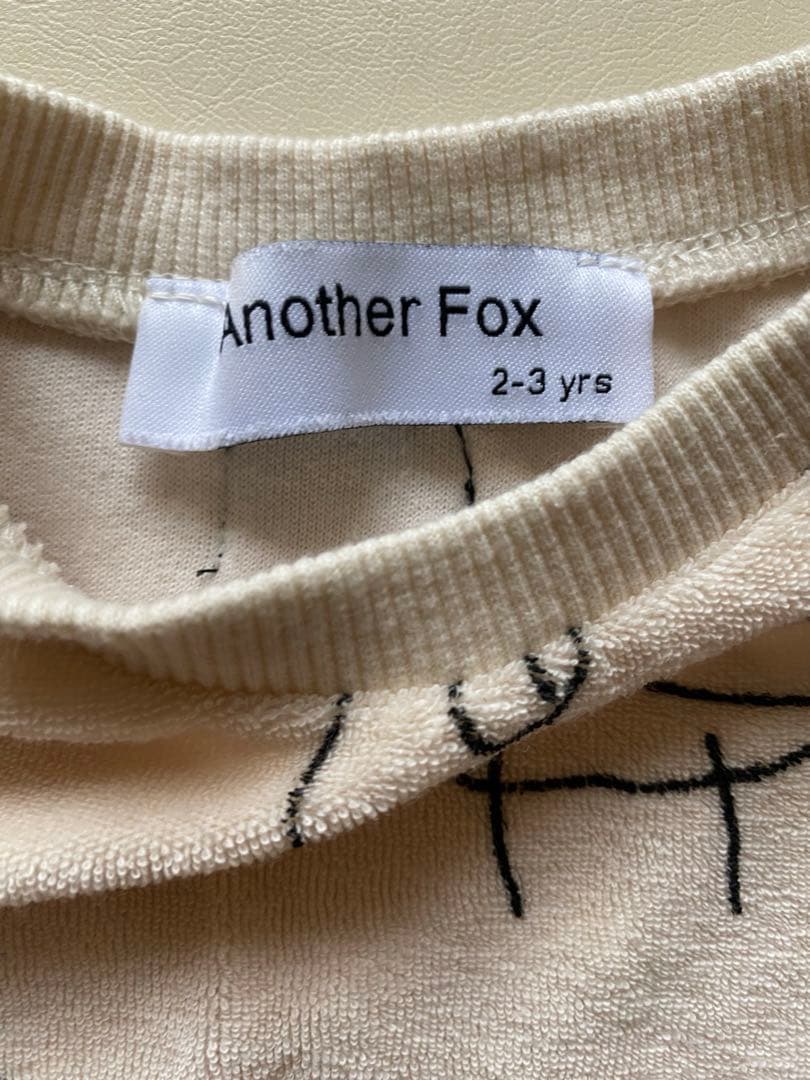 another fox 　Another Fox セットアップ枠