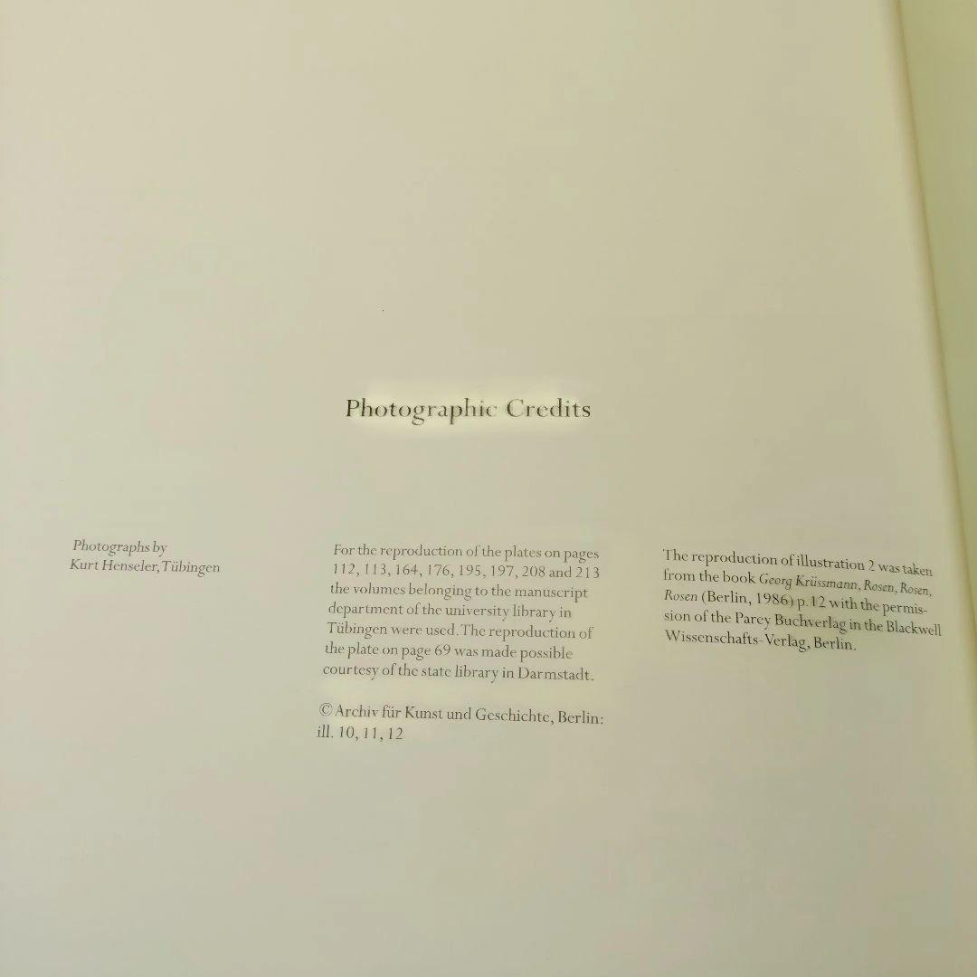 REDUTE ルドゥーテ　バラ