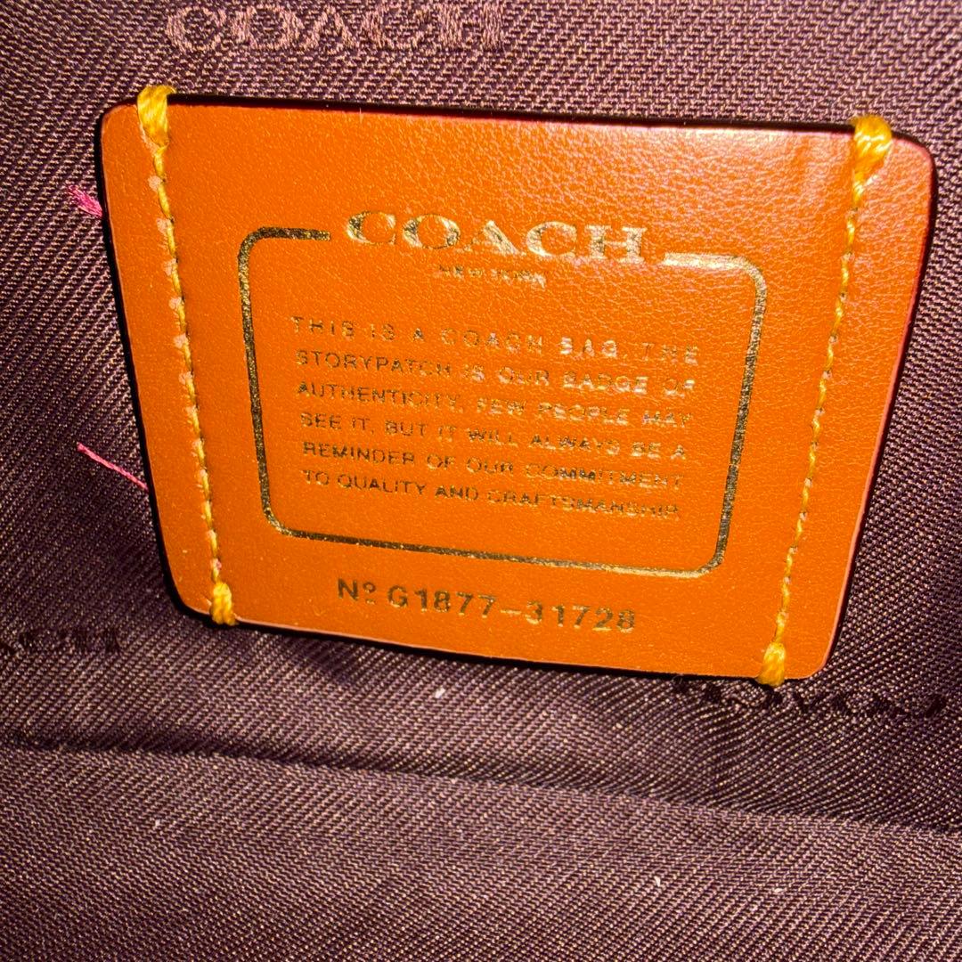 新品級✨COACHコーチシグネチャー バニティ トレイルショルダーバッグ2way