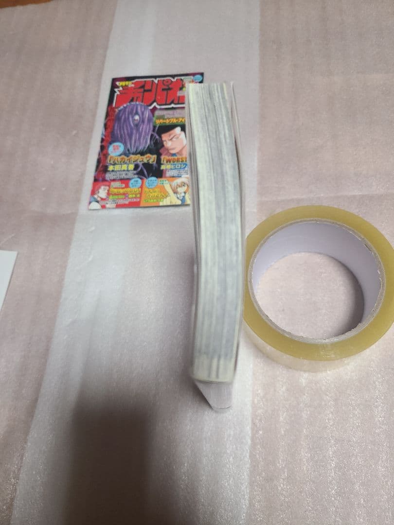 聖闘士星矢ロストキャンバス カプリコーン アニメイト 特典 ペーパー 非売品