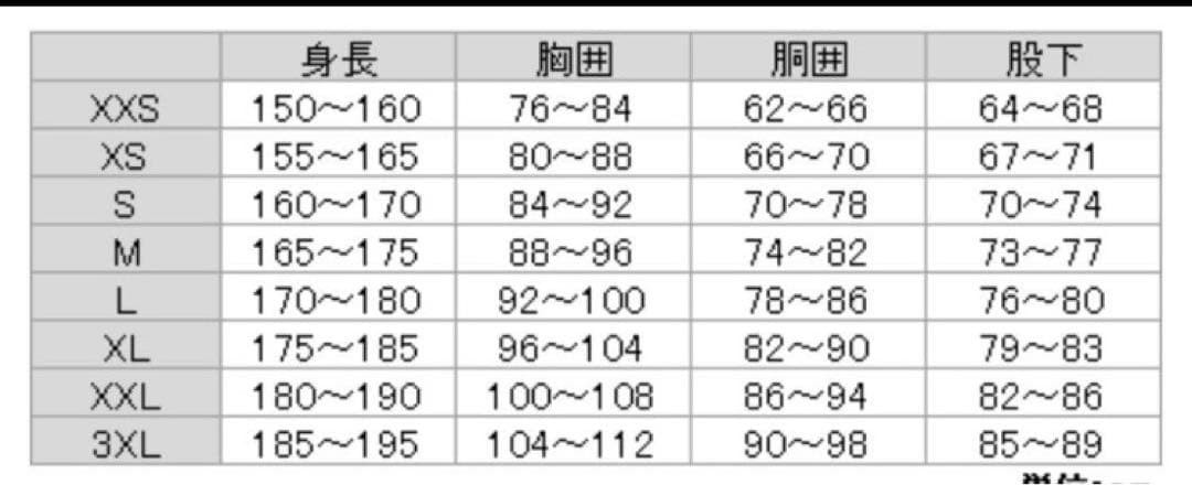 ゴールドウイン スキーウエア　上下