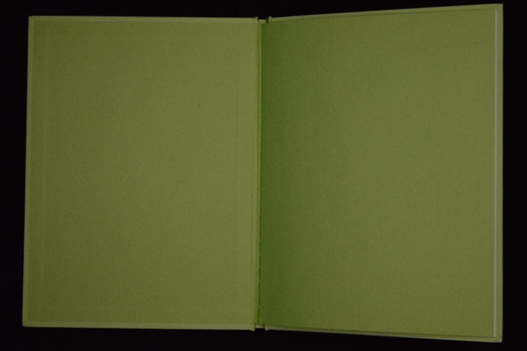 【 Ron Van Dongen: A. angustatum】★値下げしました