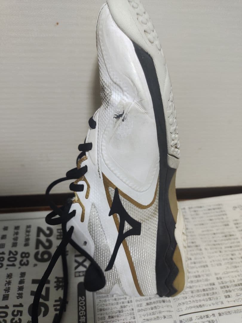 ミズノ ウエーブエクシードライト 2 オムニクレー用シューズ 4E