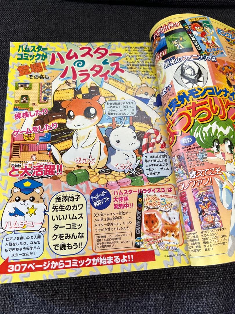 ドラゴンジュニア 2001年3月号 Vol.47 モンコレナイト特集 雑誌