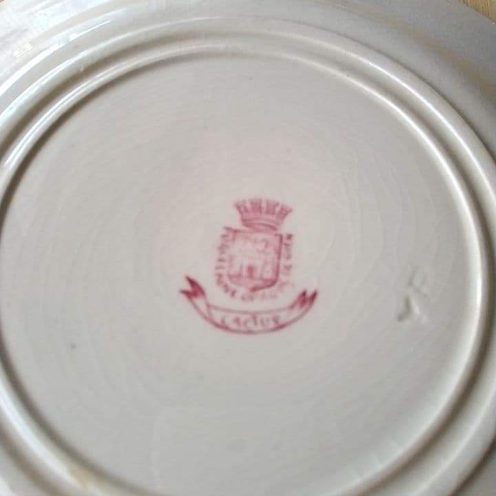 フランスアンティーク　ジアンカクタス　ディナー皿(赤)