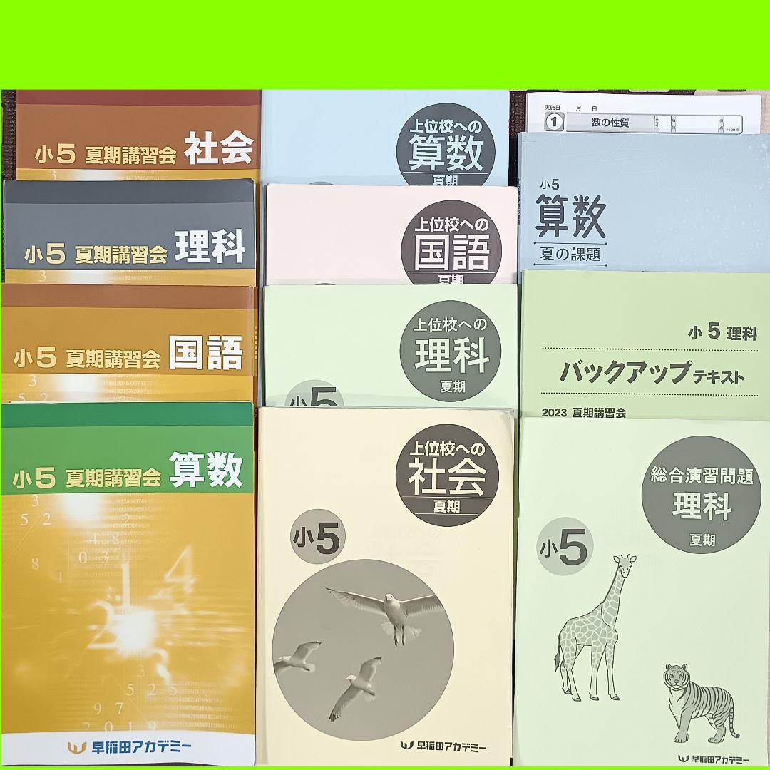 小5 夏期講習 早稲田アカデミー 早稲アカ上位校