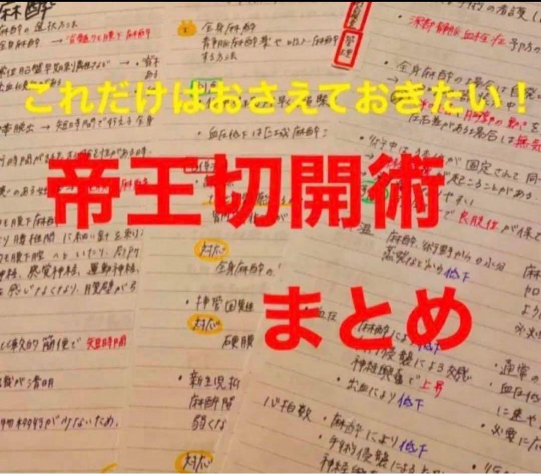 助産師　助産学生　看護師　看護学生　妊娠期　分娩期　産褥期フィジカルアセスメント