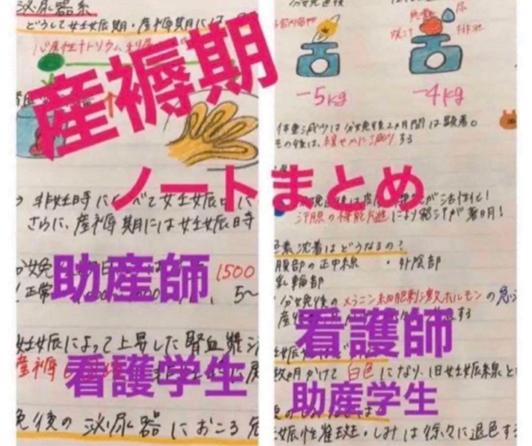 助産師　助産学生　看護師　看護学生　妊娠期　分娩期　産褥期フィジカルアセスメント