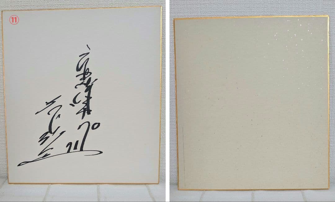 広島東洋カープ　直筆サイン色紙　11枚セット