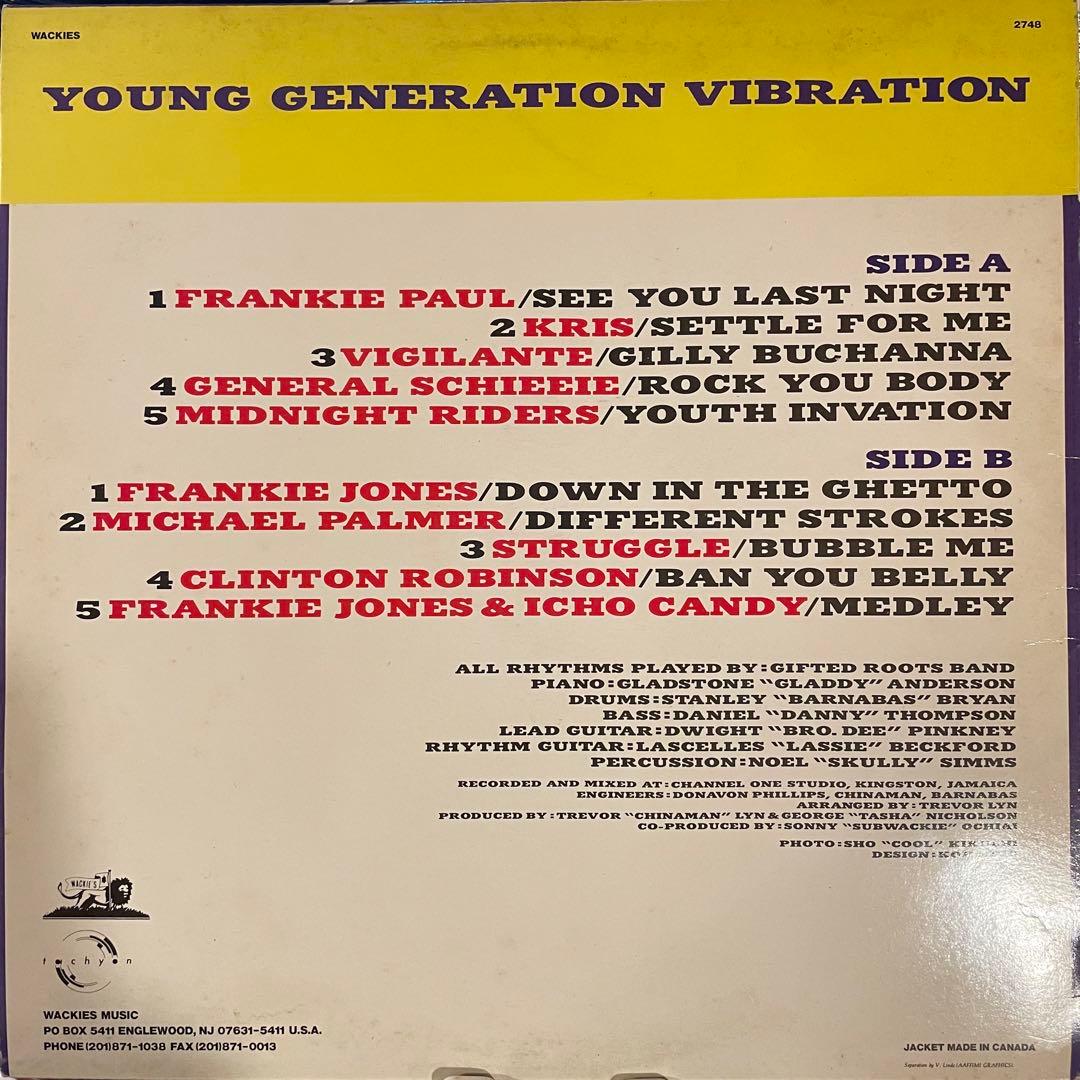 洋楽 VA/ Young Generation Vibration /LP