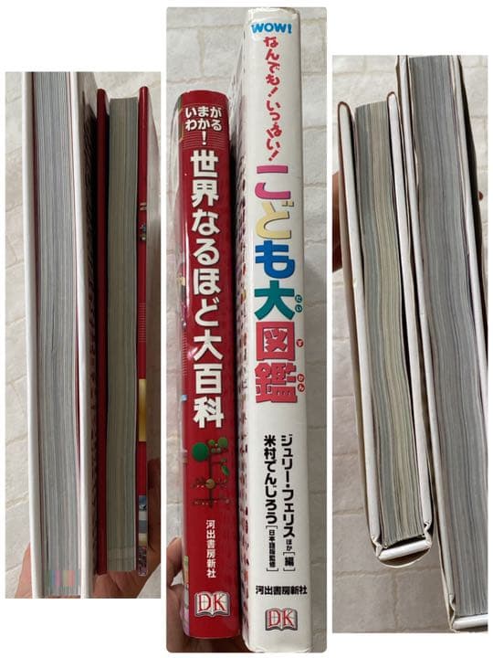 こども大図鑑 : なんでも!いっぱい! いまがわかる! 世界なるほど大百科