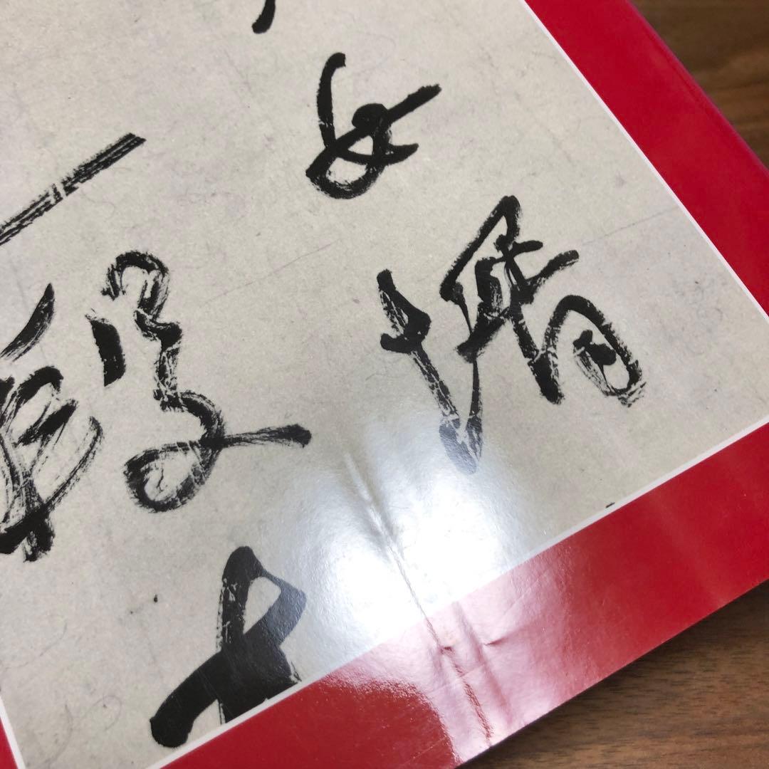 何紹基の書法 浅見錦龍編 二玄社 函入り 1995年 初版 書道 名蹟 作品集