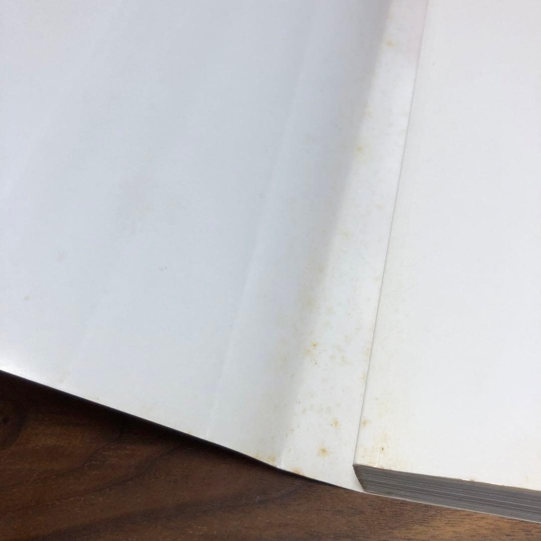 何紹基の書法 浅見錦龍編 二玄社 函入り 1995年 初版 書道 名蹟 作品集