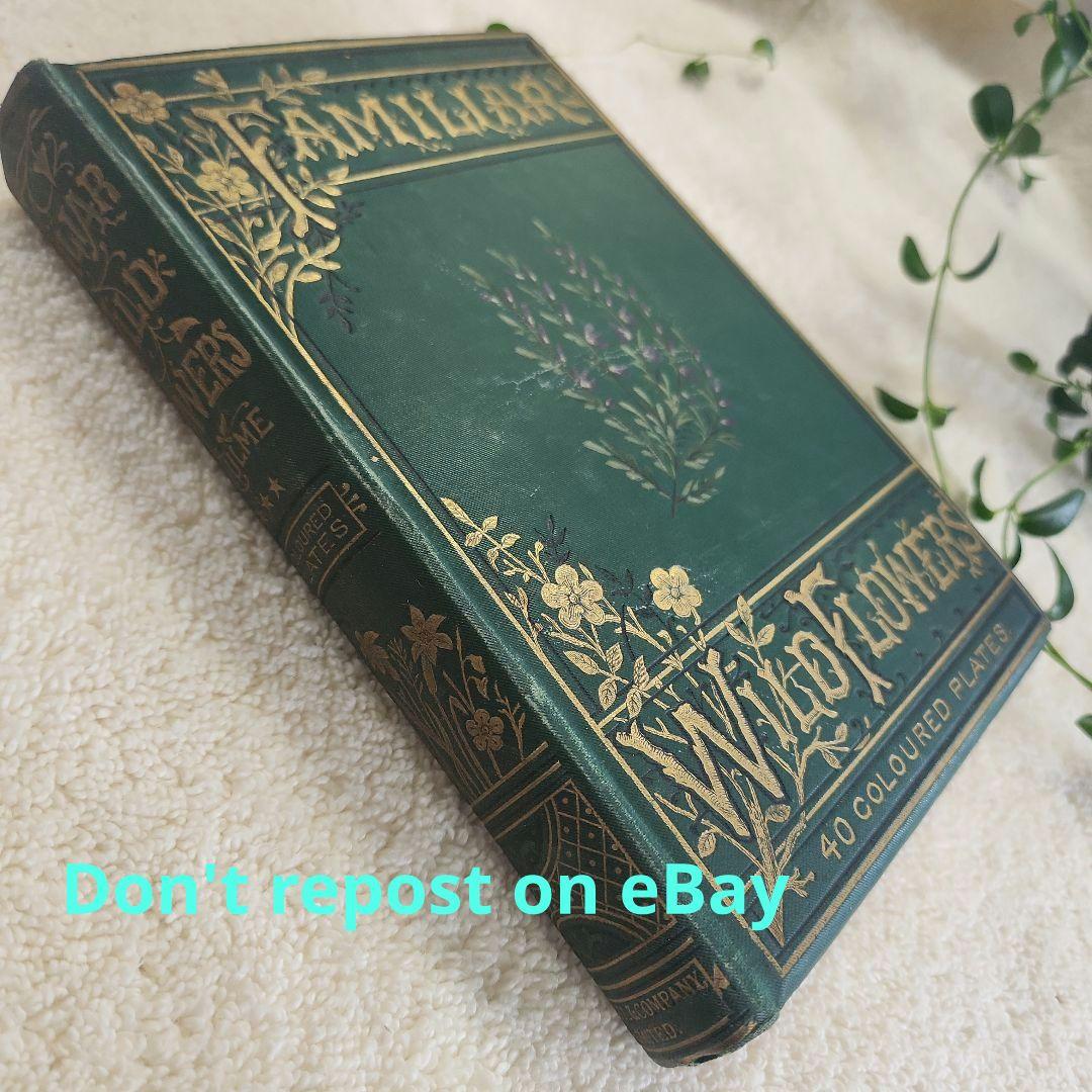 植物図鑑　洋書　古書　ボタニカルアート　アンティーク　リトグラフ　24