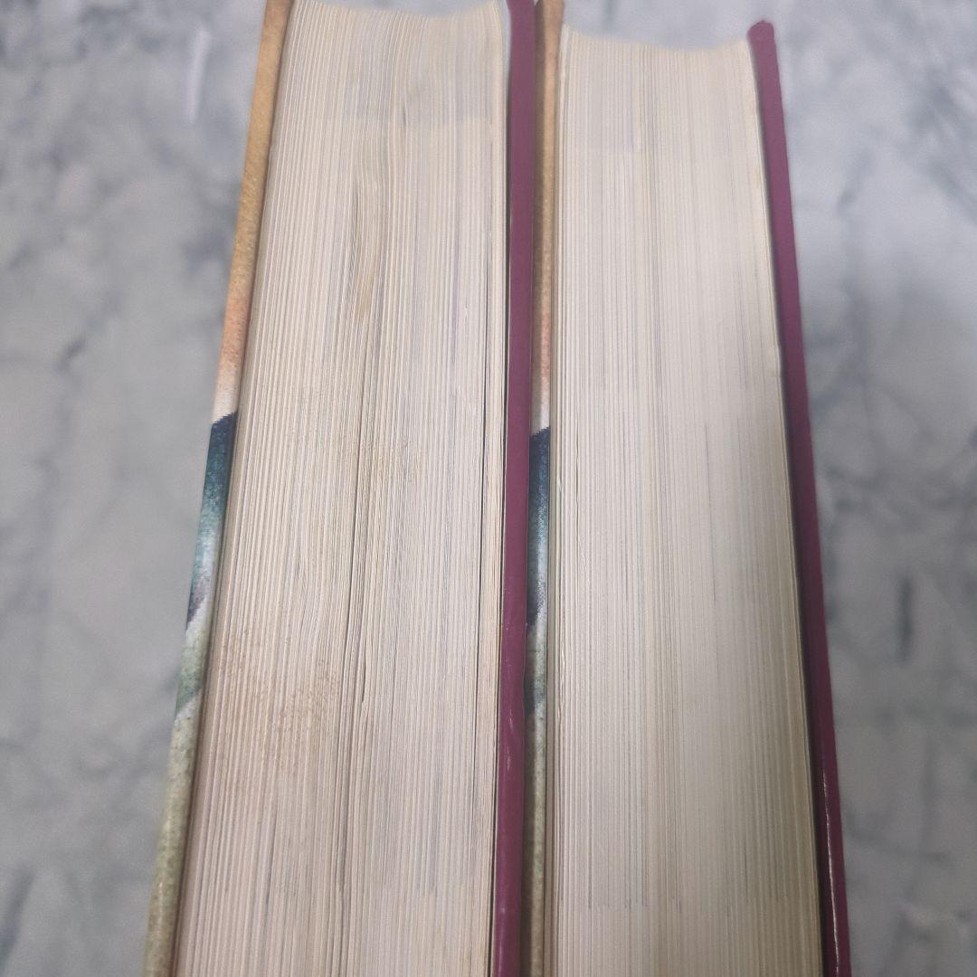 スモールアニマル・インターナルメディスン　上下　計２冊セット