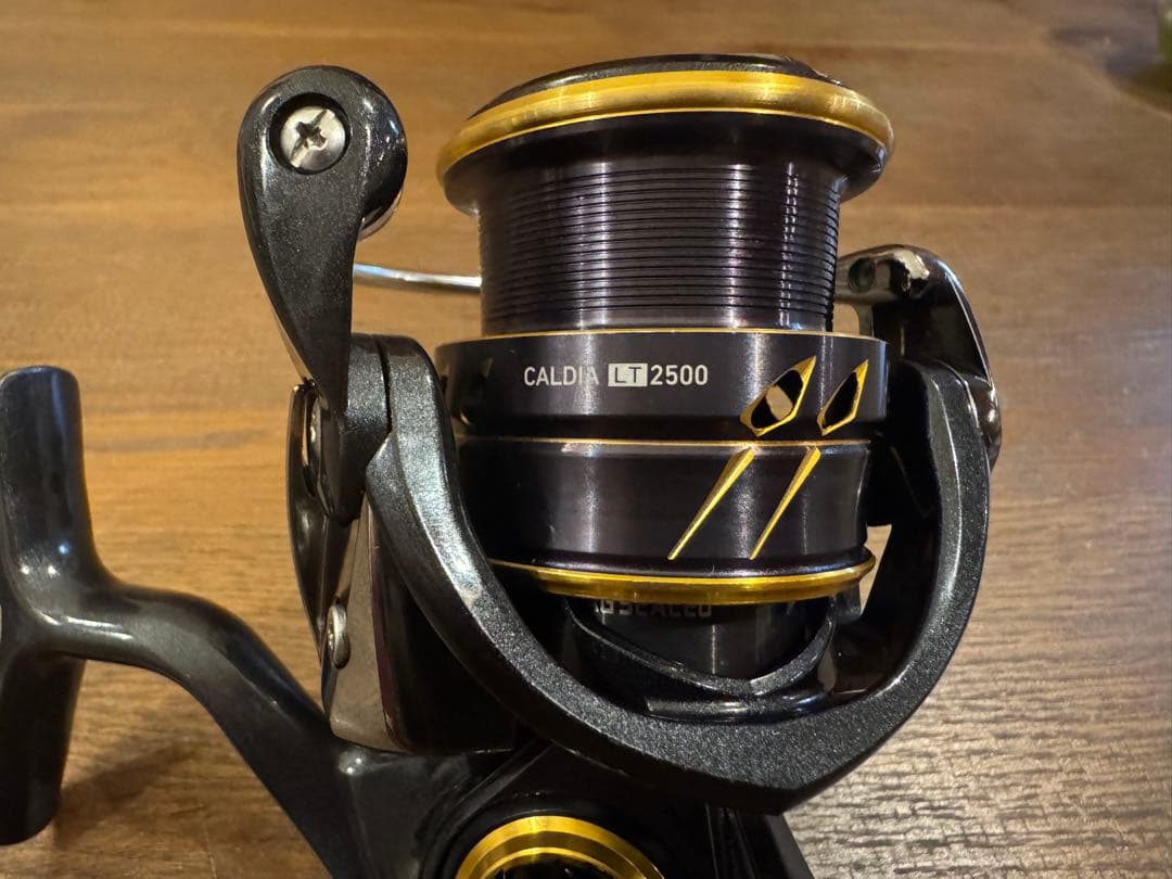 Daiwa ダイワ 21 カルディア LT2500 ジャンク