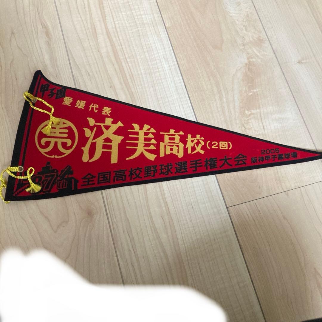 第87回全国高校野球選手権大会　甲子園出場校ペナント　まとめ売り