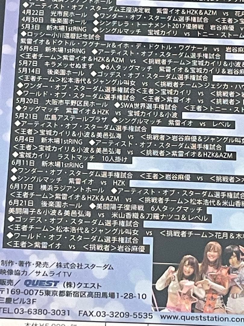 スターダム オフィシャルDVDコレクション STARDOM