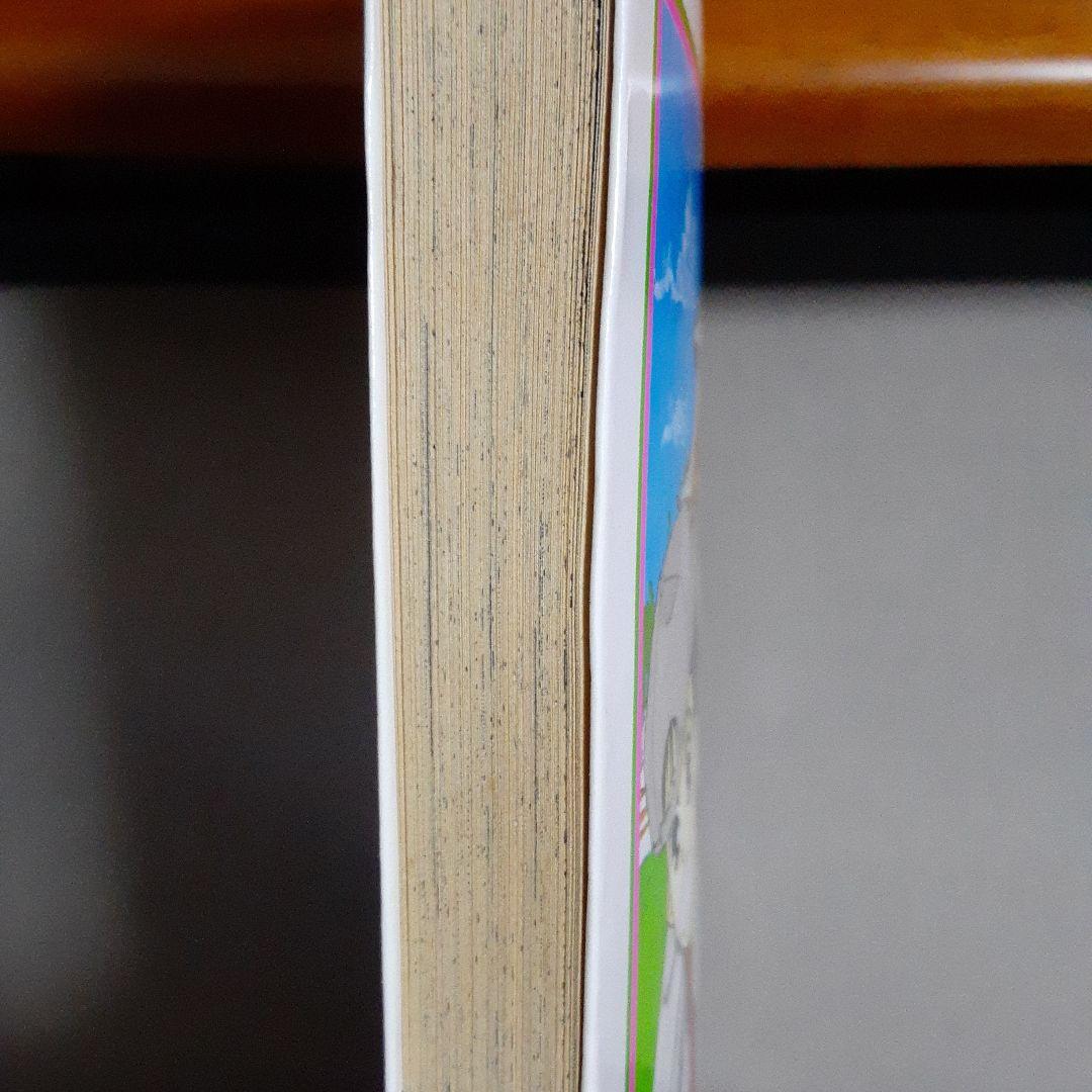 城河かなえ あたしの彼は大仏様