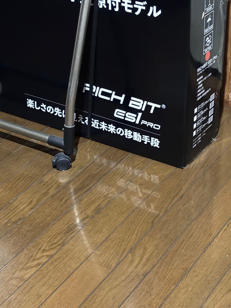 RICH BIT ES1 PRO 電動アシスト自転車
