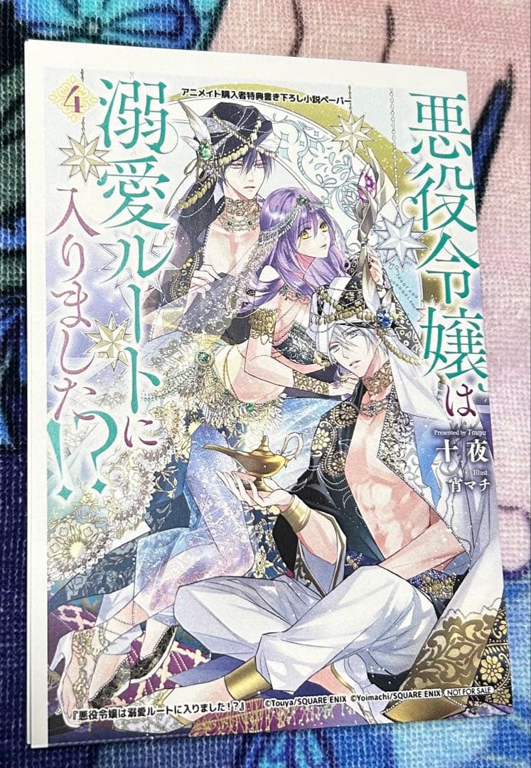 悪役令嬢は溺愛ルートに入りました⁉︎ アニメイト特典SSセット