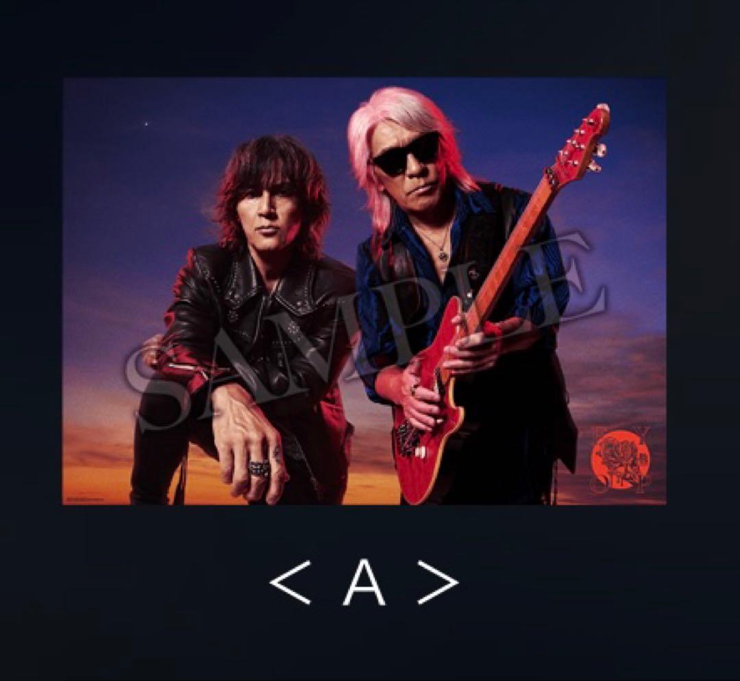 稲葉浩志 enIV 3DVD / B'z FYOP会場限定 B2ポスター A