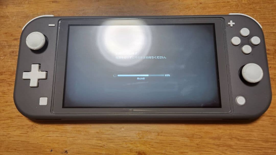 ジャンク　Switch Lite