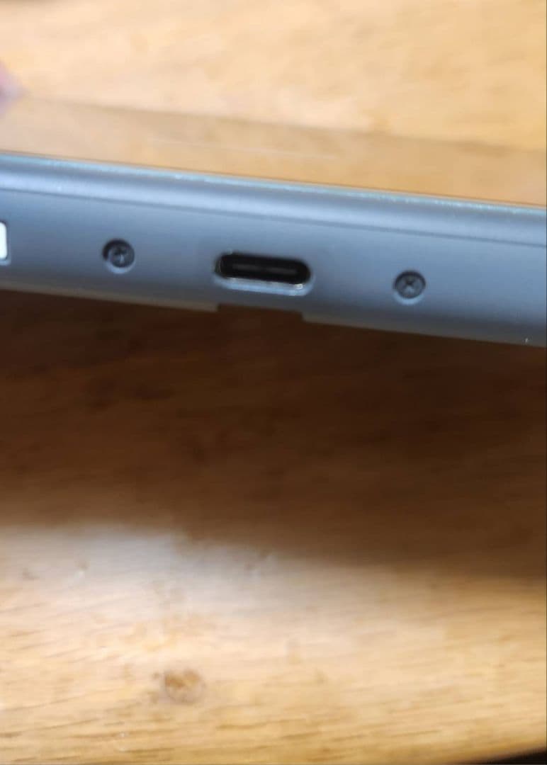 ジャンク　Switch Lite