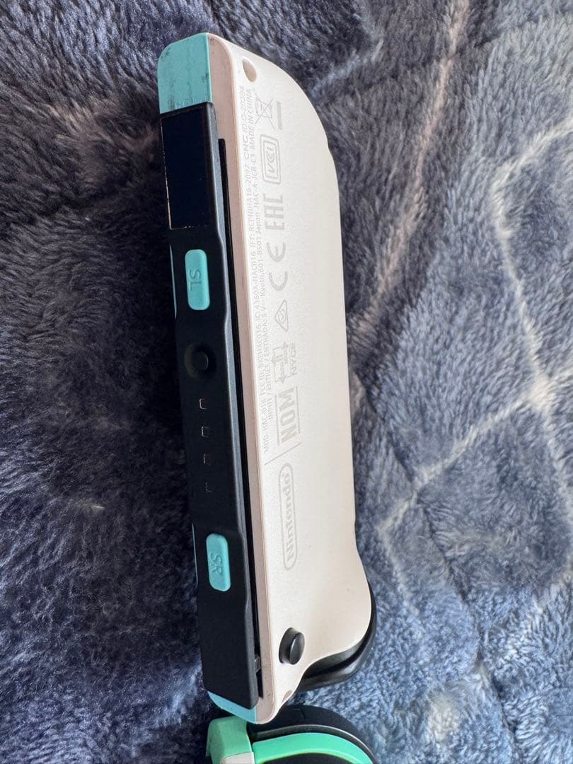 Nintendo Switch あつまれどうぶつの森セットHDMI欠品