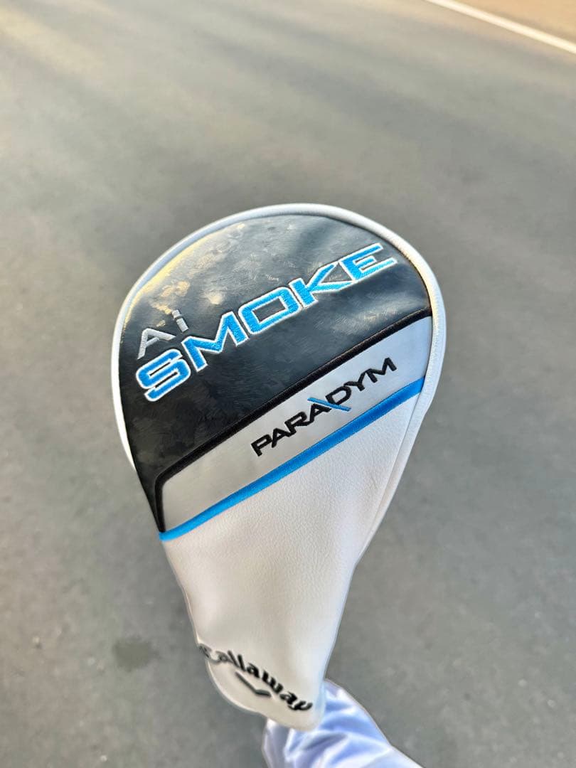 パラダイム Ai Smoke MAX D Flex S 純正シャフト