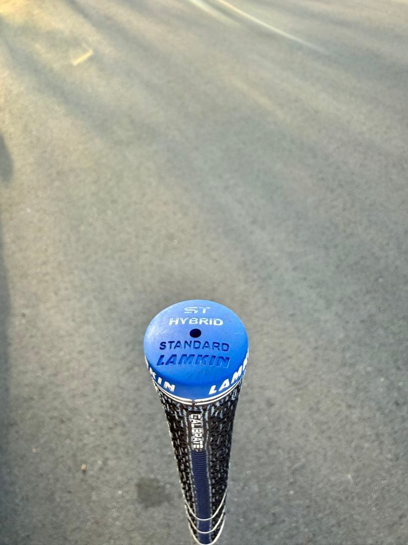 パラダイム Ai Smoke MAX D Flex S 純正シャフト