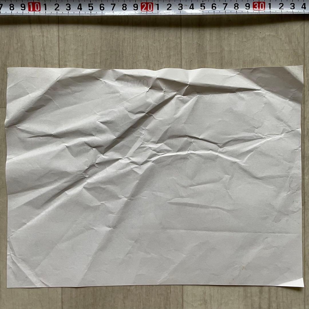 決定稿 1枚 設定資料 ティバニー エリザベス カマバッカ王国 ワンピース