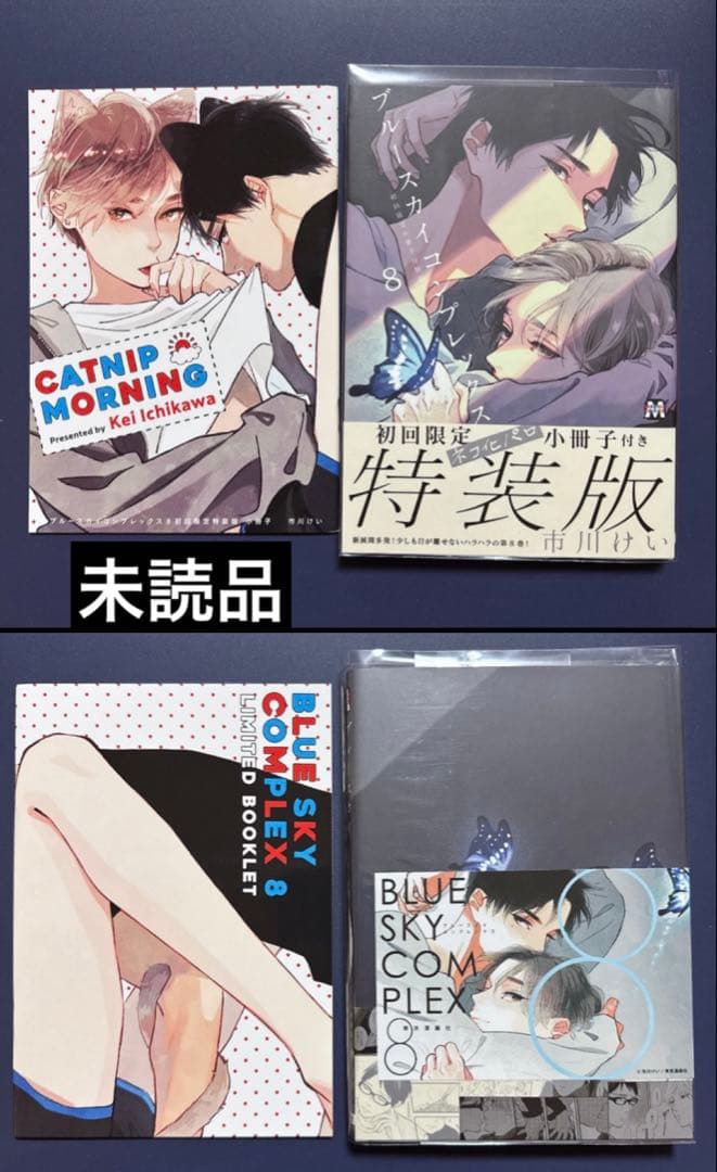 ブルースカイコンプレックス　アニメイト　特装版　小冊子