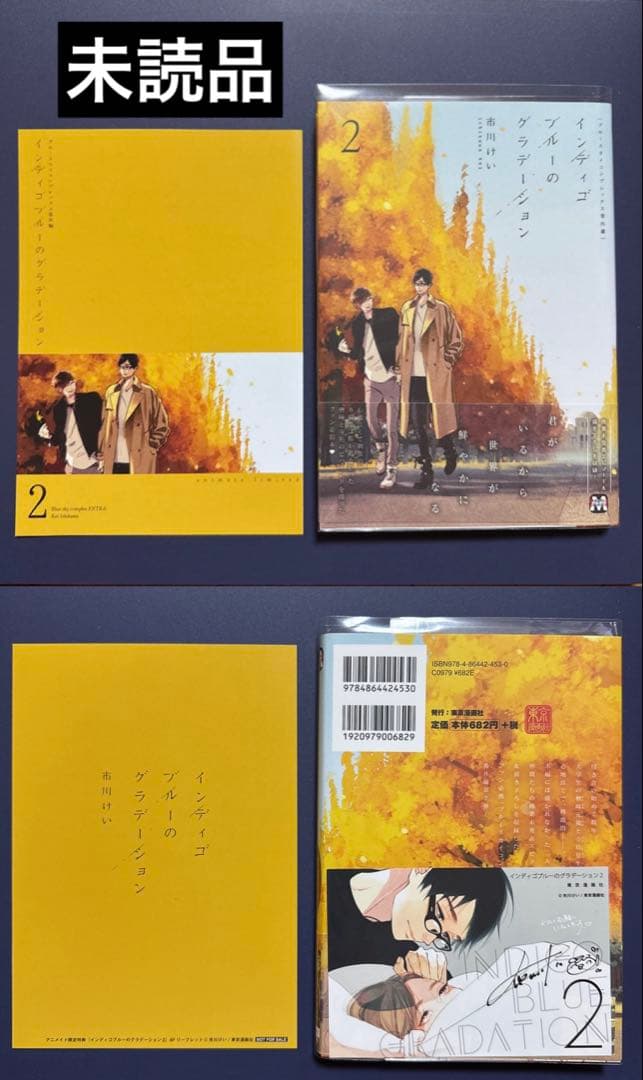 ブルースカイコンプレックス　アニメイト　特装版　小冊子