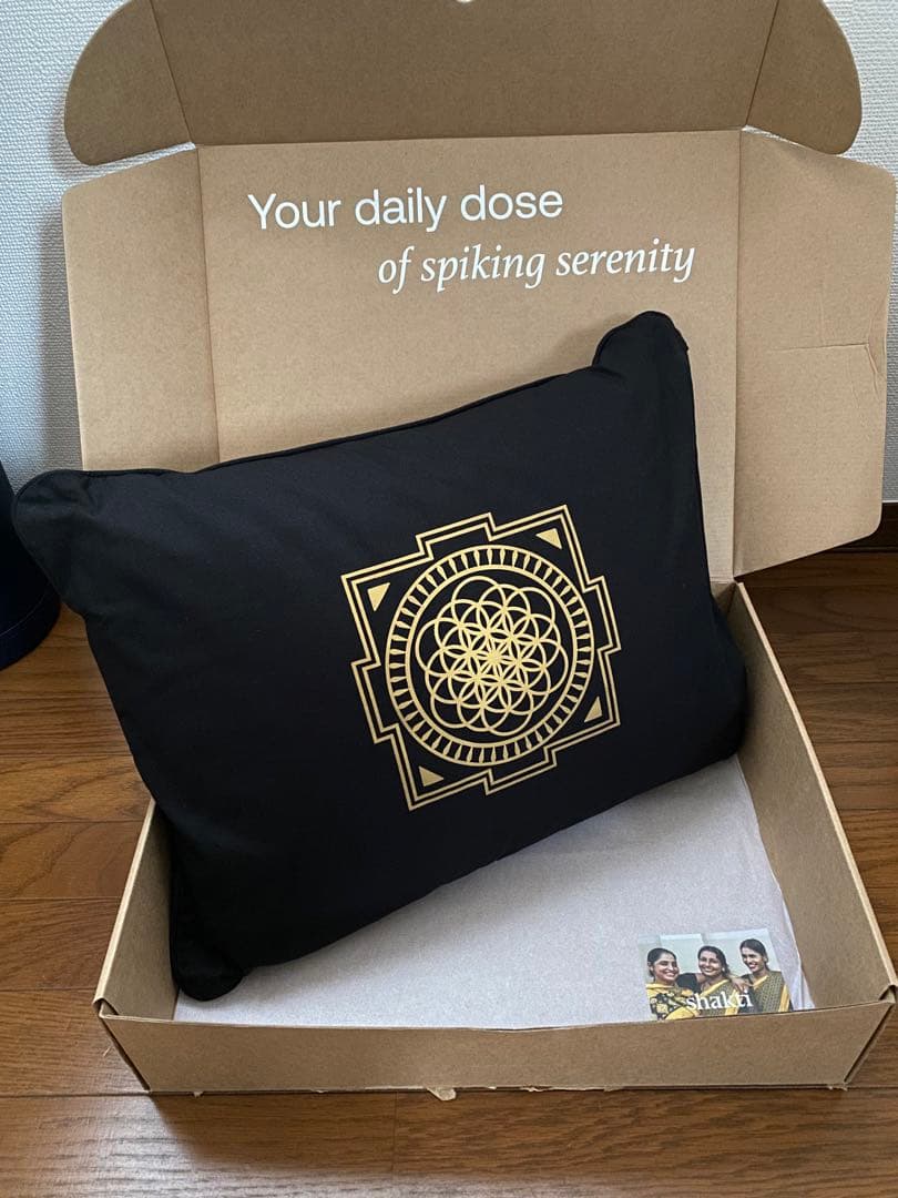 shakti シャクティ プレミアムピロー