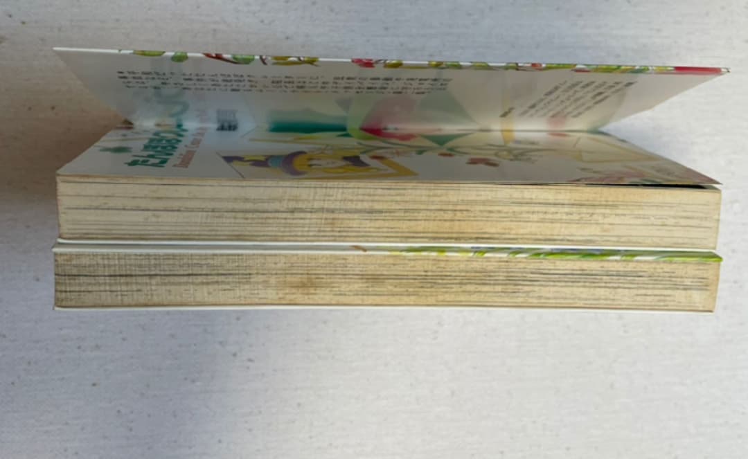 たんぽぽクレーター 全2巻 筒井百々子 小学館 プチフラワーコミックス 初版