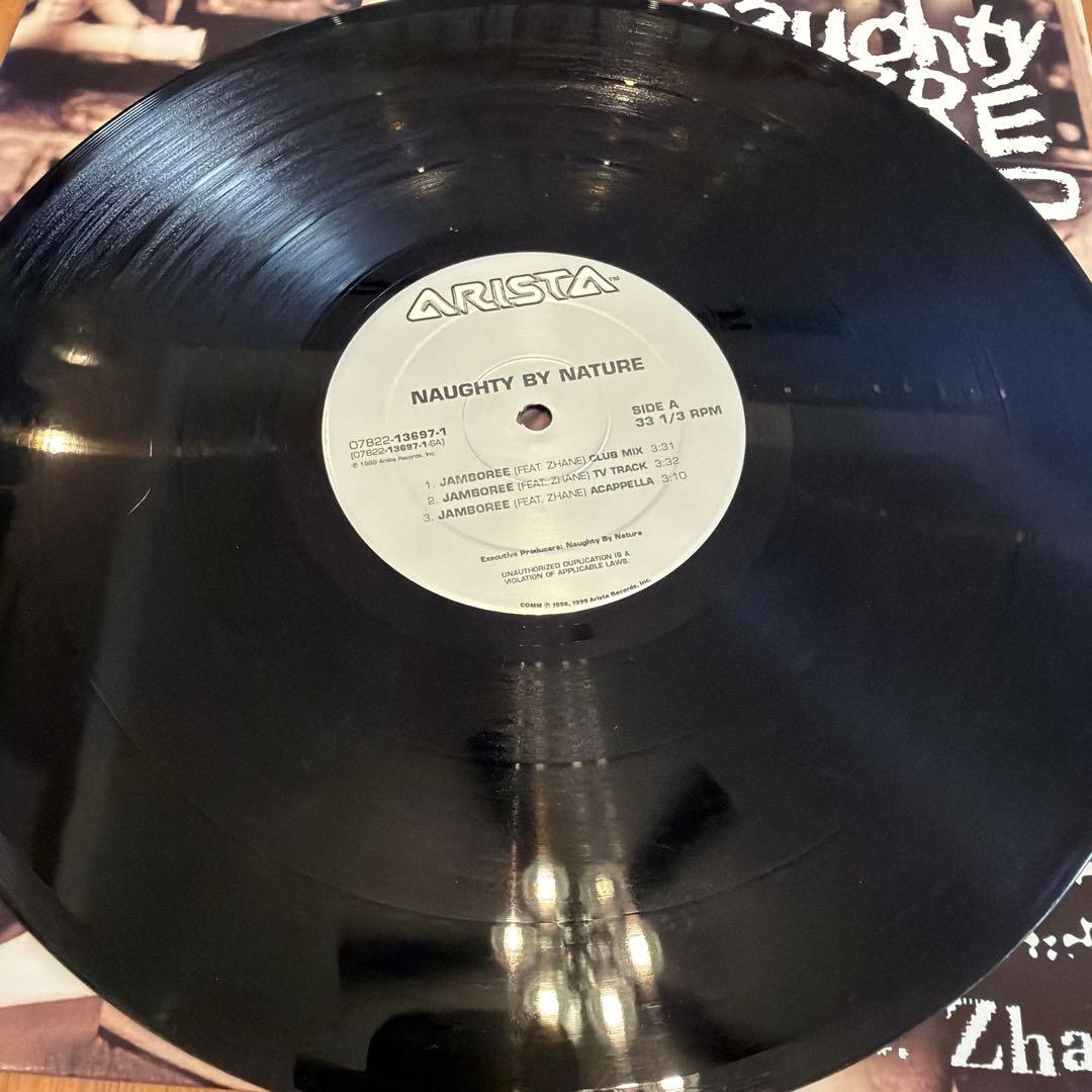 Naughty By Nature 12インチシングル 5枚セット