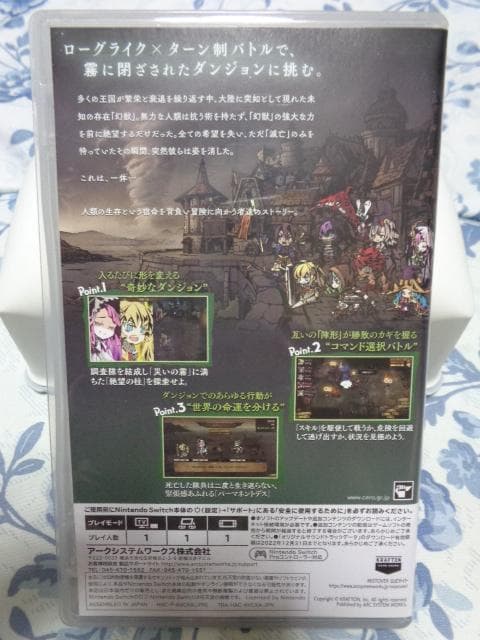 SWITCH ニンテンドースイッチ MISTOVER ミストオーバー ソフトのみ