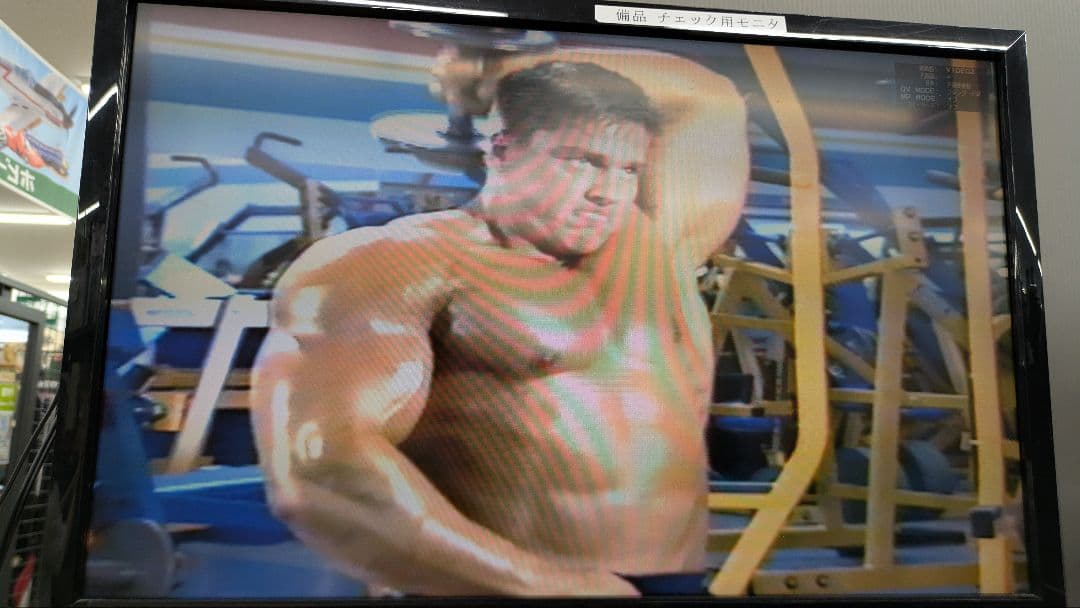 動作確認済 マッスル&フィットネス ARMS アキム アルブレヒト VHS