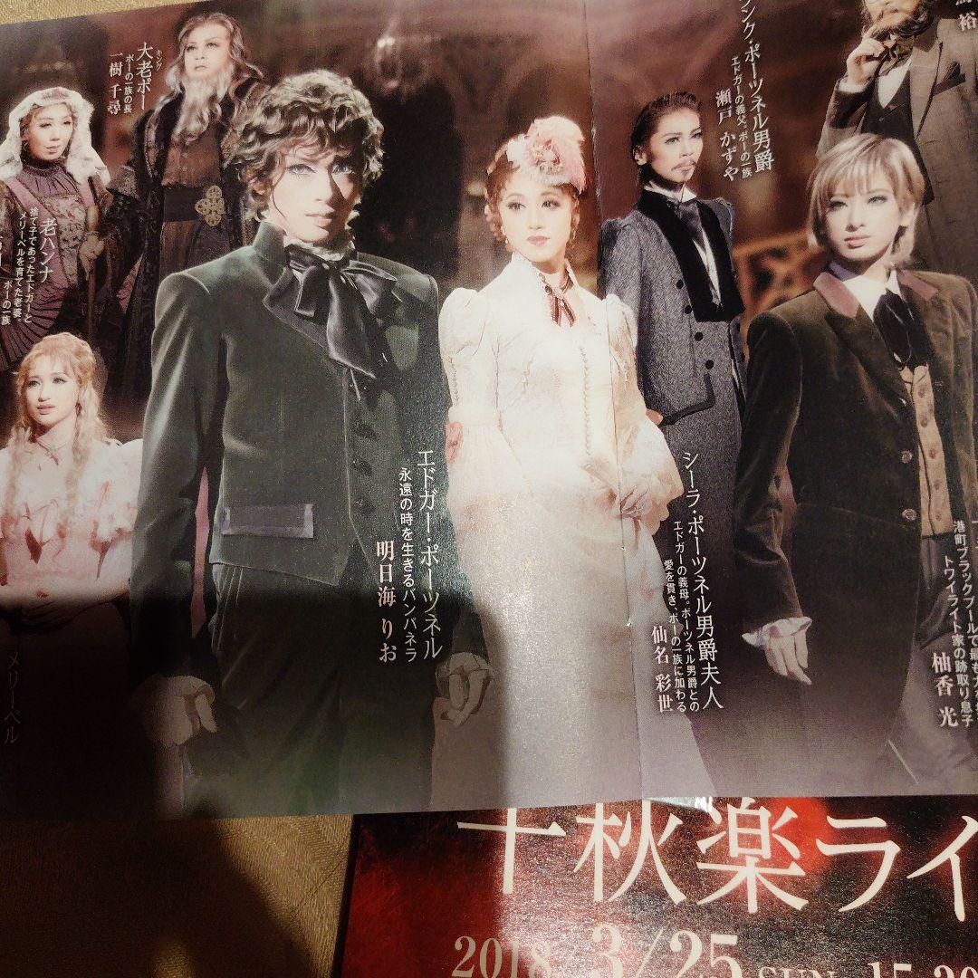 花組 ミュージカル・ゴシック ポーの一族DVD チラシ ブロマイド