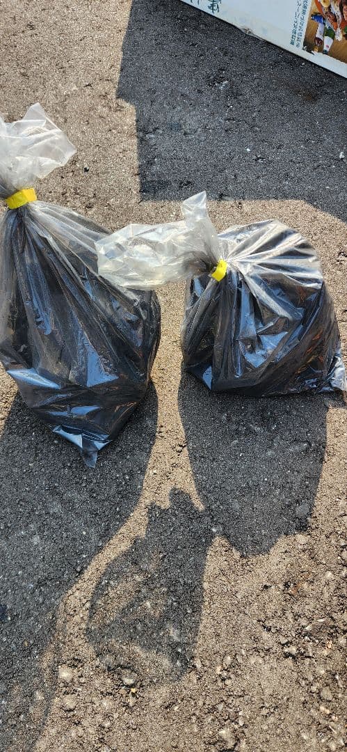 キンカ　串焼き　ろばた