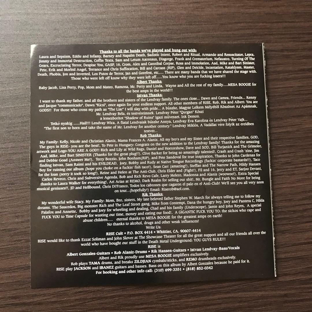 洋楽 Rise/ shadow of ruins